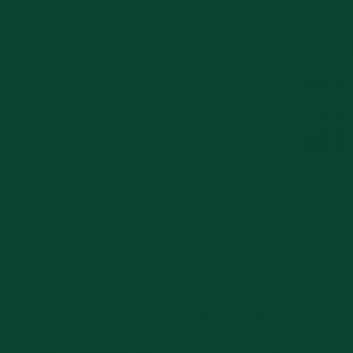 RAL 6005 Verde muschio